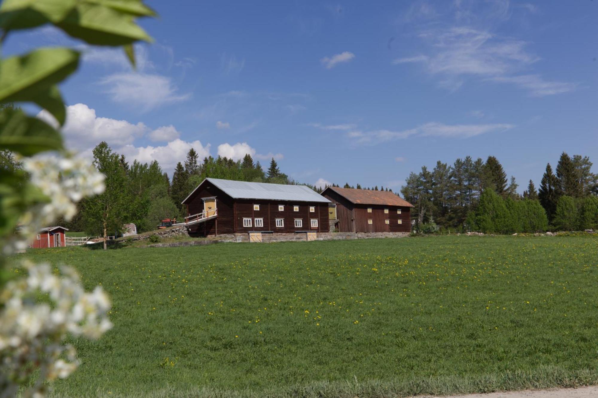 Grindstugan Pa Fyras Gard Hammerdal Exterior photo